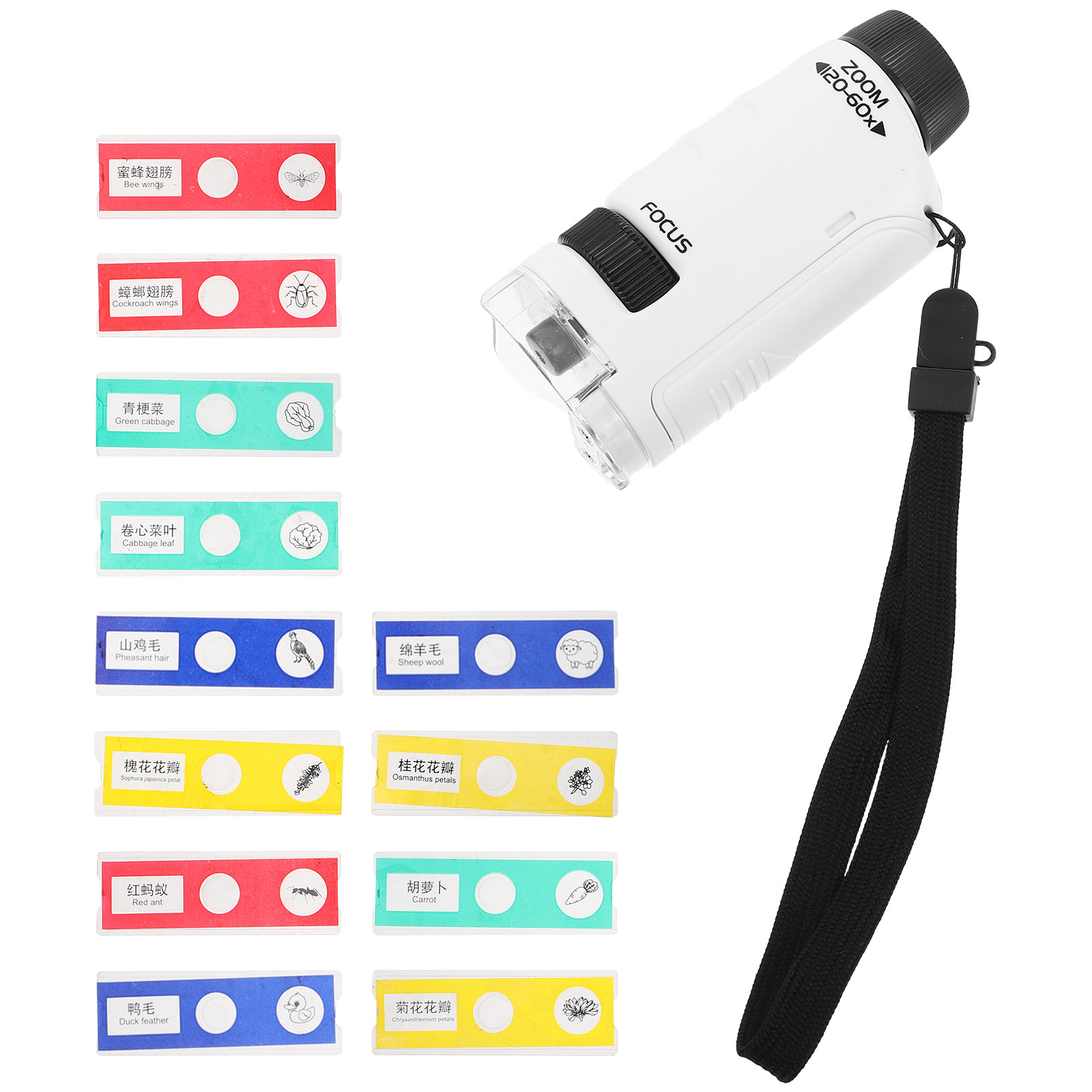 Kids Outdoor Microscope - 1 Set Kinder-Handmikroskop, tragbares Mini-Taschenmikroskop für