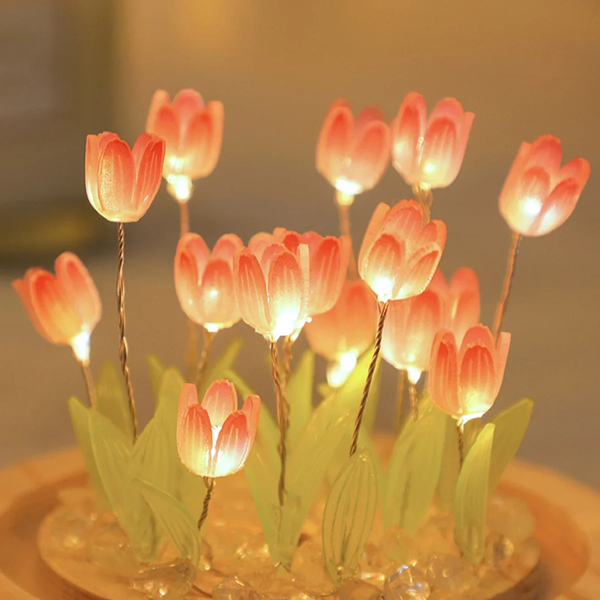 DIY LED Handgemachte Mini-Tulp – Kids Outdoor Movie Night Bewertung und Preis