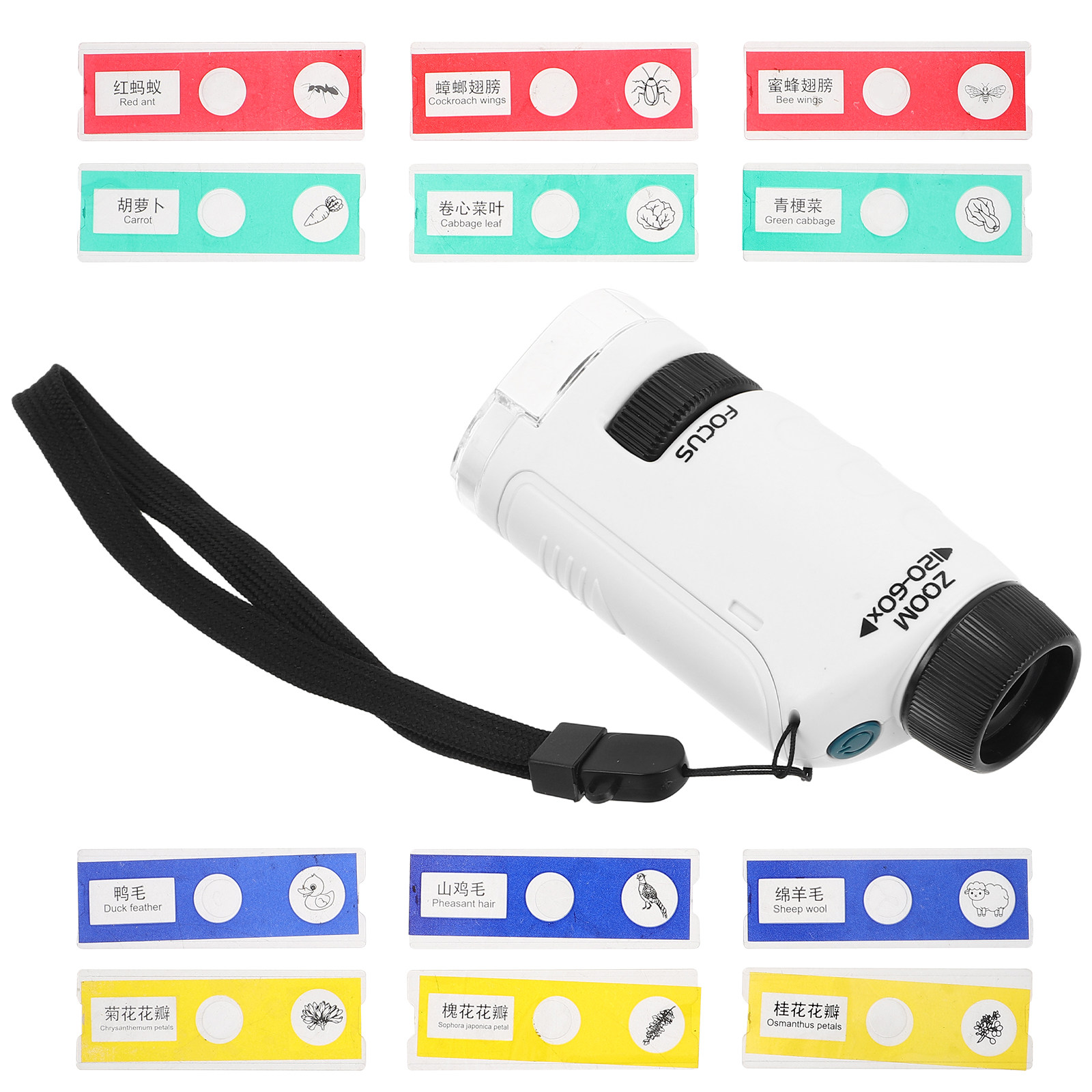 1 Set Kinder-Handmikroskop, tr – Kids Outdoor Microscope Bewertung und Preis