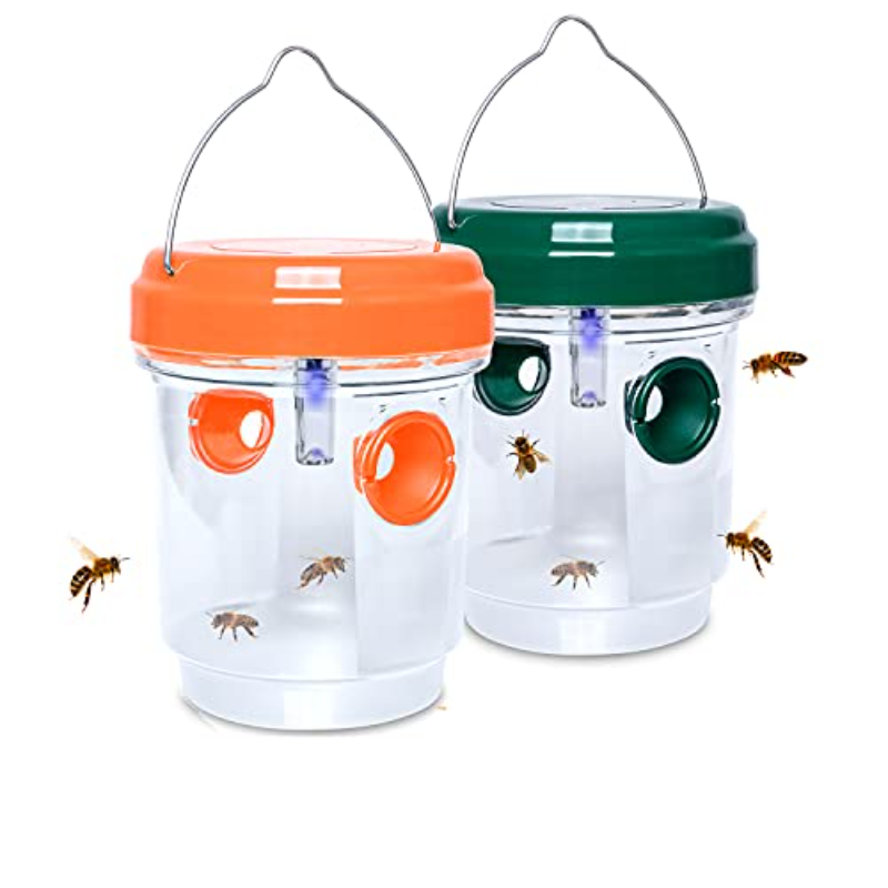 Solar-Wespenfallen zum Aufhäng – Bug Catching Kit Bewertung und Preis