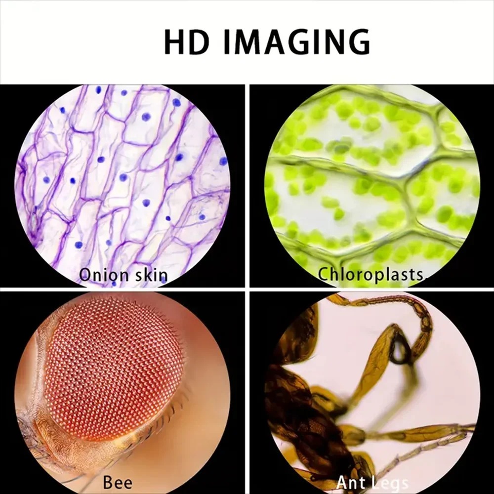 Handmikroskop mit 60X 120X Ver – Kids Outdoor Microscope Bewertung und Preis