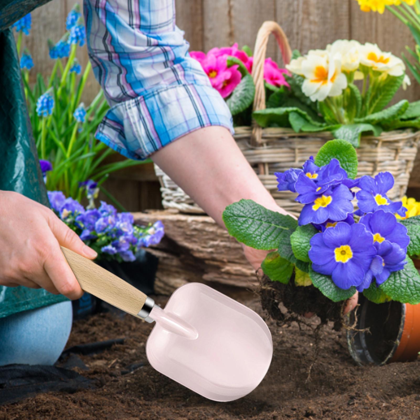 Kinder-Outdoor-Spielzeug, sens – Kids Outdoor Dirt Toys Bewertung und Preis